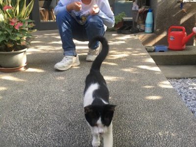 客人